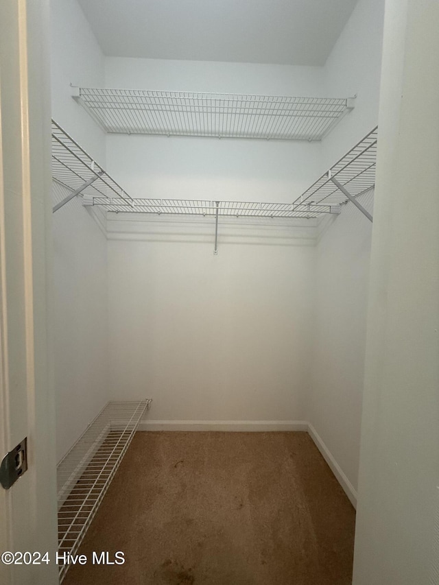 spacious closet with carpet floors