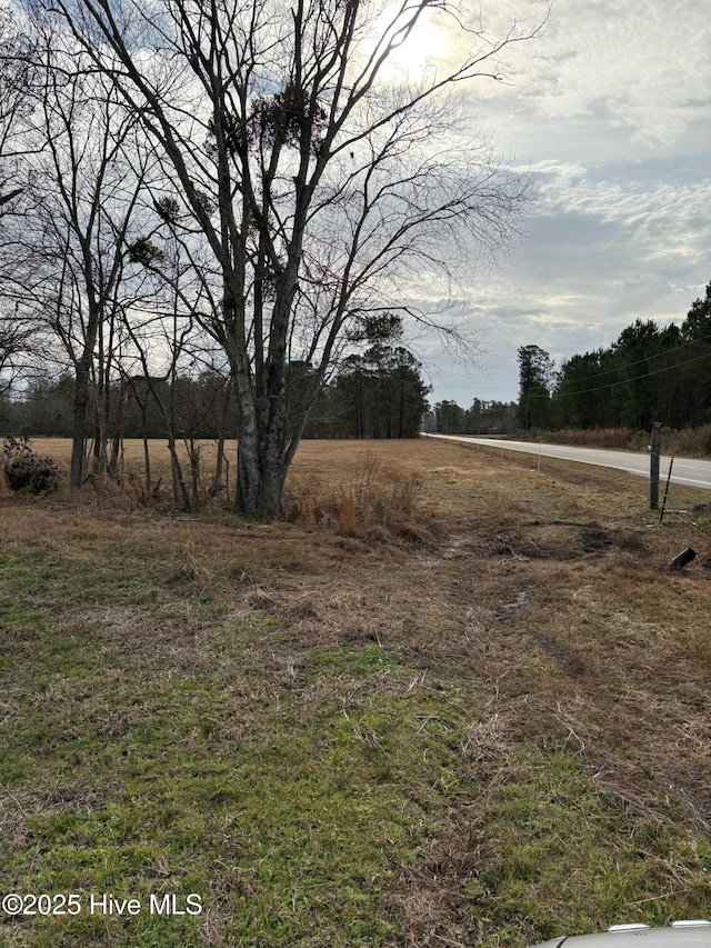 TBD Dothan Rd, Tabor City NC, 28463 land for sale