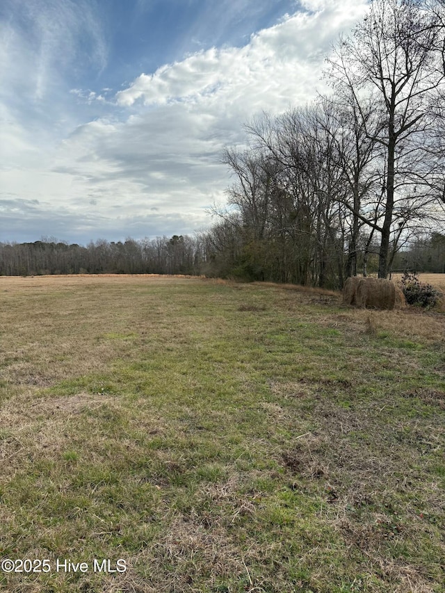 Listing photo 2 for TBD Dothan Rd, Tabor City NC 28463