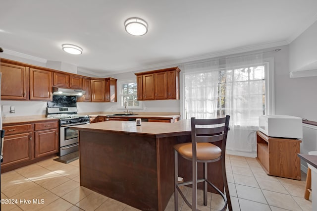 kitchen with gas stove, a center island, crown molding, and sink