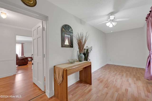 hall with light hardwood / wood-style floors and a textured ceiling