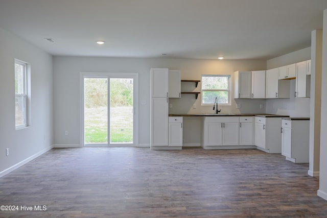 kitchen featuring white cabinets, wood-type flooring, and sink