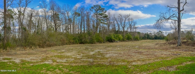 view of local wilderness