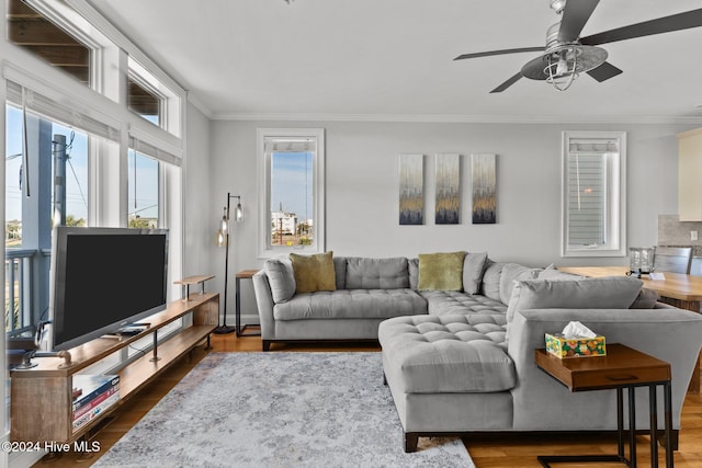 living room with dark hardwood / wood-style floors, ceiling fan, and ornamental molding