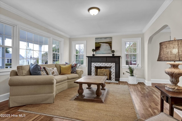 living area featuring wood finished floors, crown molding, a fireplace, and a healthy amount of sunlight