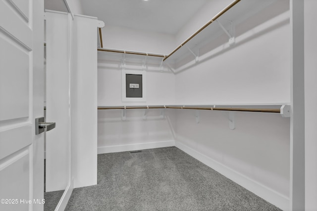 walk in closet featuring carpet flooring and electric panel