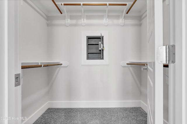 spacious closet featuring carpet floors