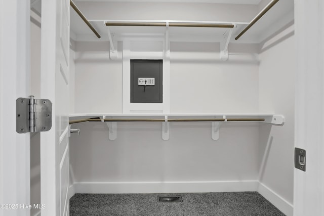 spacious closet featuring carpet