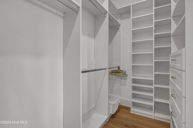 spacious closet with hardwood / wood-style floors