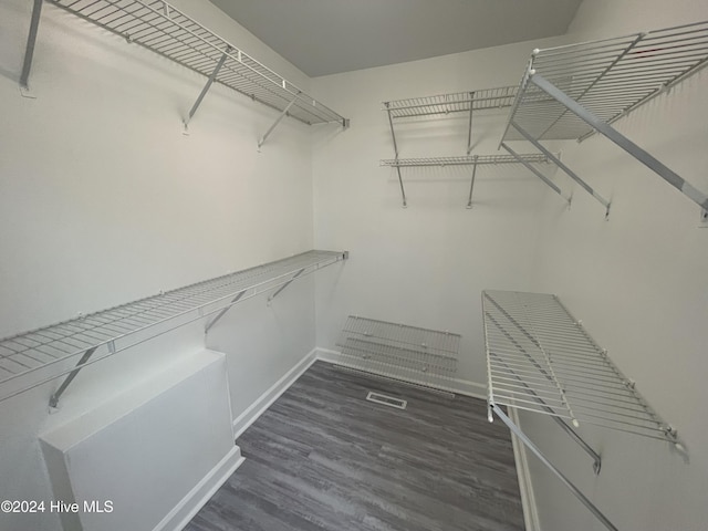 spacious closet featuring dark hardwood / wood-style floors