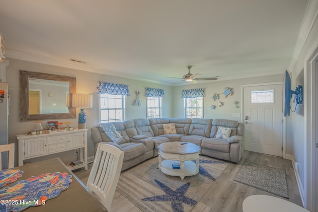 living room featuring light wood-type flooring, ceiling fan, and ornamental molding