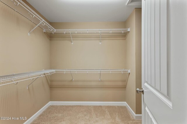 walk in closet with carpet flooring