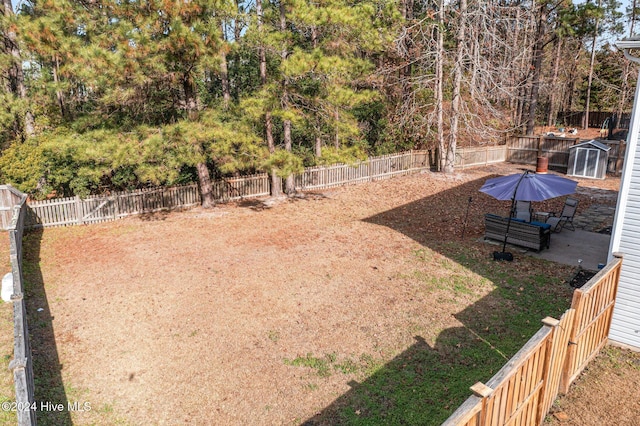 view of yard with a shed and a patio area