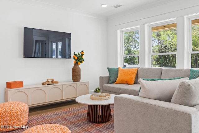 living room featuring hardwood / wood-style flooring, ornamental molding, and a wealth of natural light