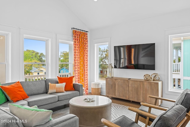 living room featuring a wealth of natural light, high vaulted ceiling, and wood-type flooring