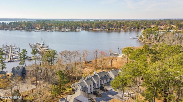 birds eye view of property featuring a water view