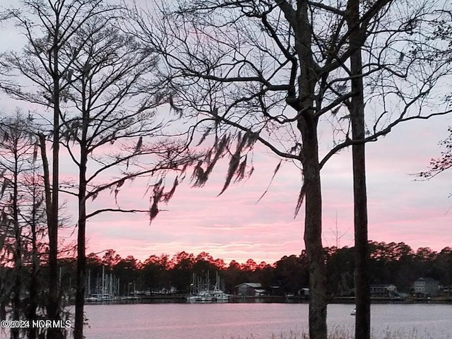 nature at dusk with a water view