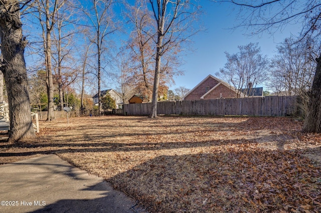 view of yard