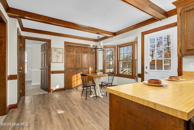 dining area featuring beam ceiling, a textured ceiling, light hardwood / wood-style floors, and crown molding