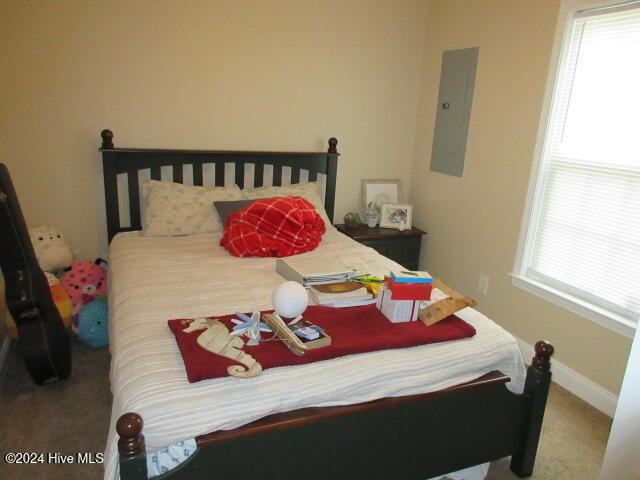 bedroom with electric panel and carpet floors