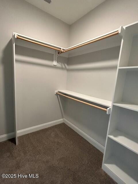 spacious closet with dark colored carpet