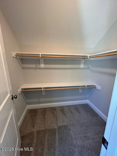 walk in closet with carpet flooring