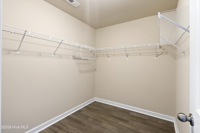 walk in closet with dark wood-type flooring