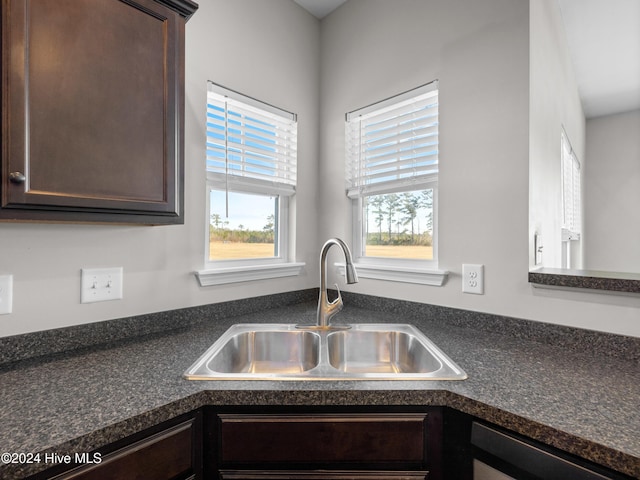 kitchen featuring dark brown cabinets, stainless steel dishwasher, and sink