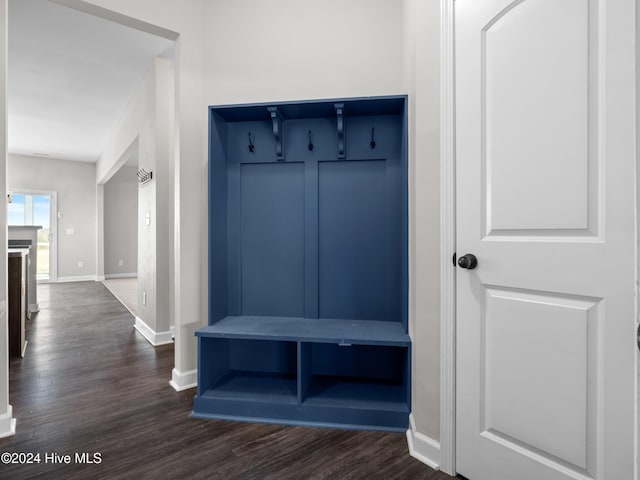 mudroom featuring dark wood-type flooring