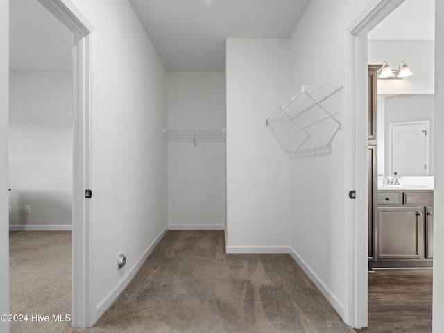 walk in closet with carpet and sink