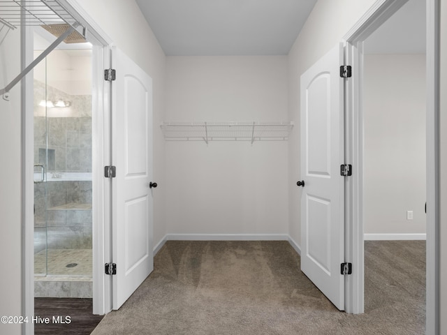 spacious closet featuring carpet floors