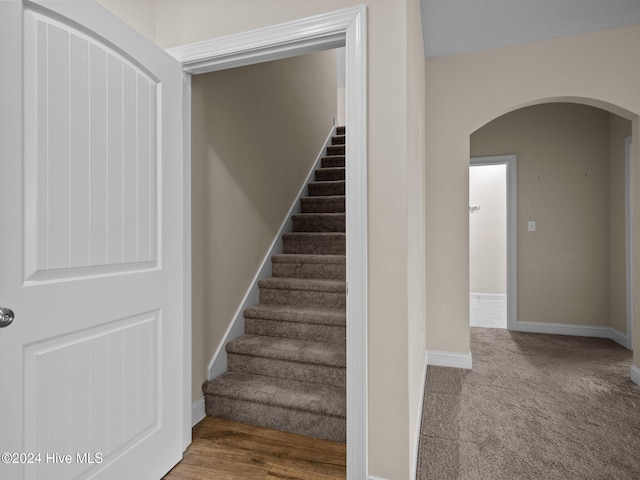 staircase featuring carpet flooring