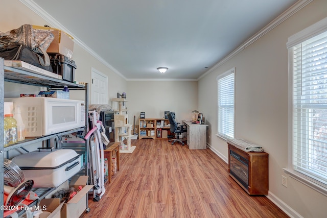 office with hardwood / wood-style floors and crown molding