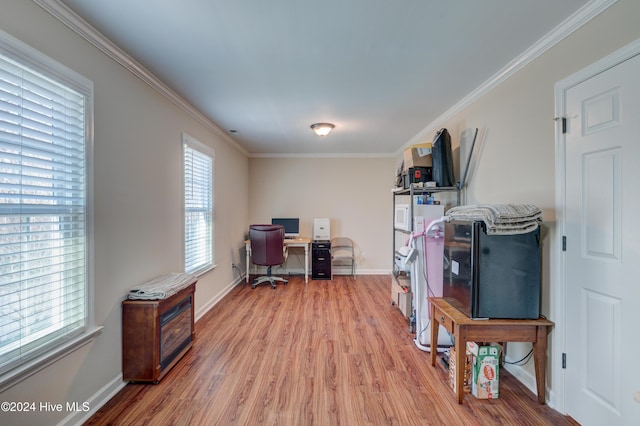 office featuring light hardwood / wood-style flooring and ornamental molding