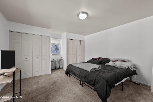 carpeted bedroom with two closets