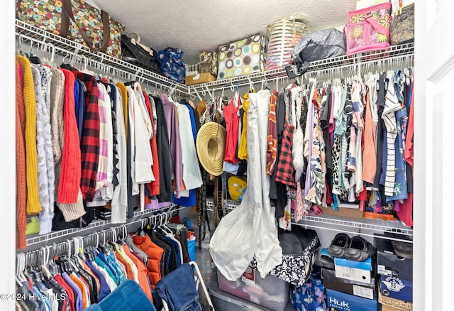 view of spacious closet