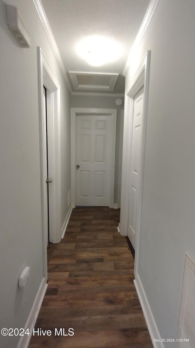 hallway featuring dark hardwood / wood-style flooring and ornamental molding