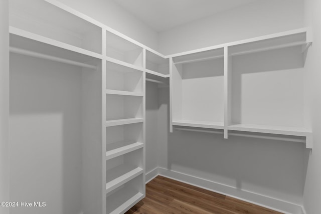 spacious closet with dark hardwood / wood-style flooring