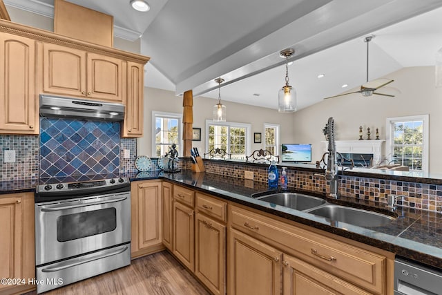 kitchen featuring lofted ceiling, a sink, dishwasher, under cabinet range hood, and stainless steel electric range