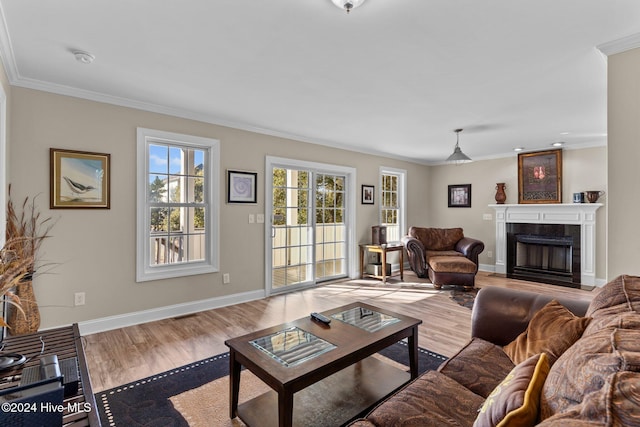 living area featuring crown molding, a premium fireplace, baseboards, and wood finished floors