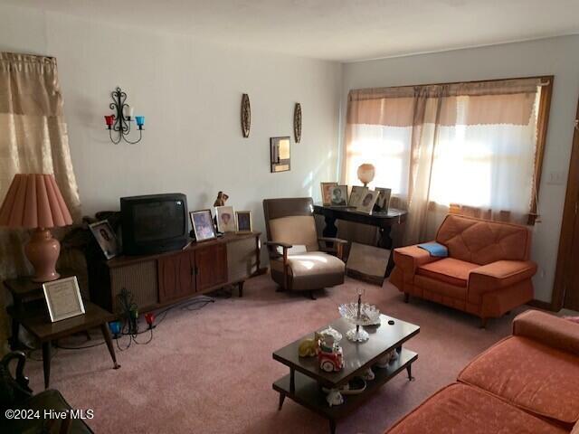 living room featuring carpet floors