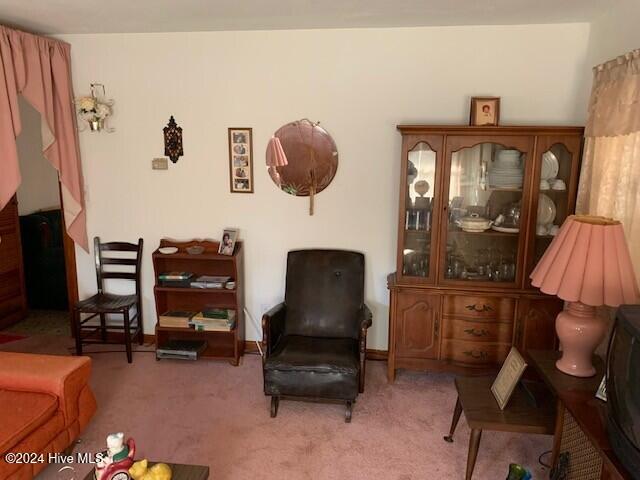 sitting room featuring light carpet