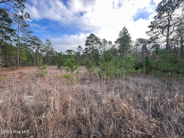 Listing photo 2 for LOT292 S Horsepen Rd, Harrells NC 28444