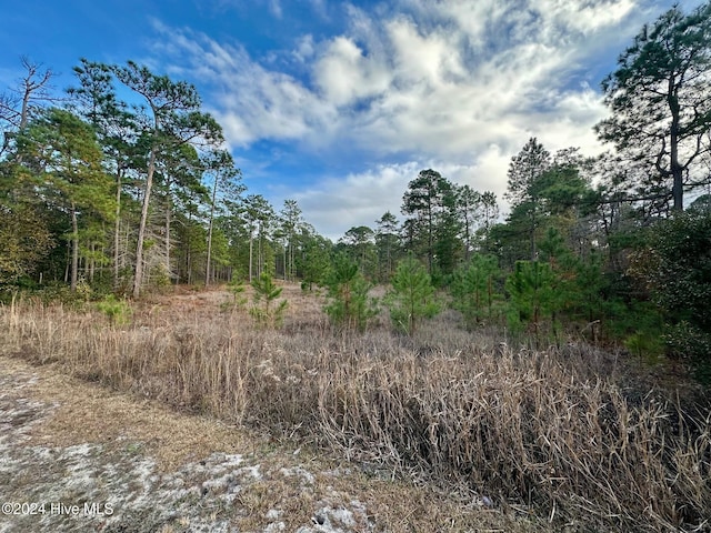 Listing photo 3 for LOT292 S Horsepen Rd, Harrells NC 28444