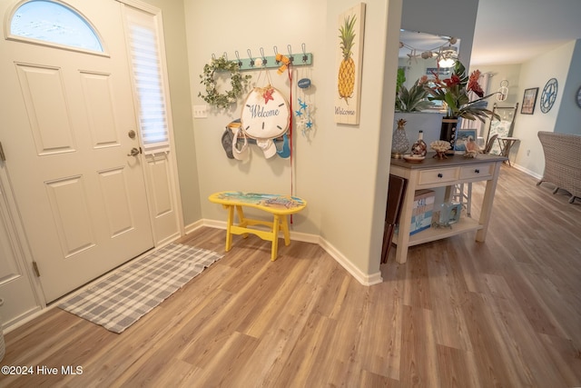 entrance foyer featuring hardwood / wood-style flooring