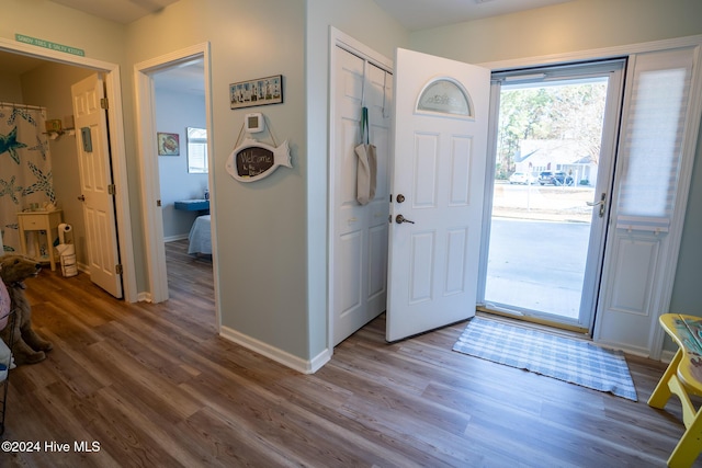 foyer with wood-type flooring