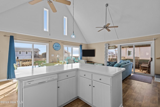 kitchen with white cabinets, dishwasher, a healthy amount of sunlight, and dark hardwood / wood-style flooring