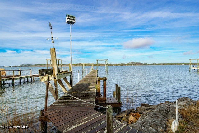 dock area with a water view