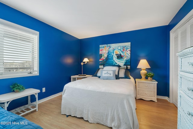 bedroom featuring wood-type flooring and a closet