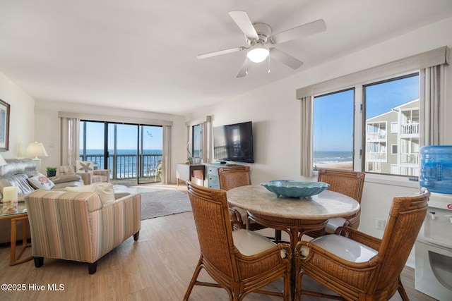 dining space with light hardwood / wood-style flooring and ceiling fan